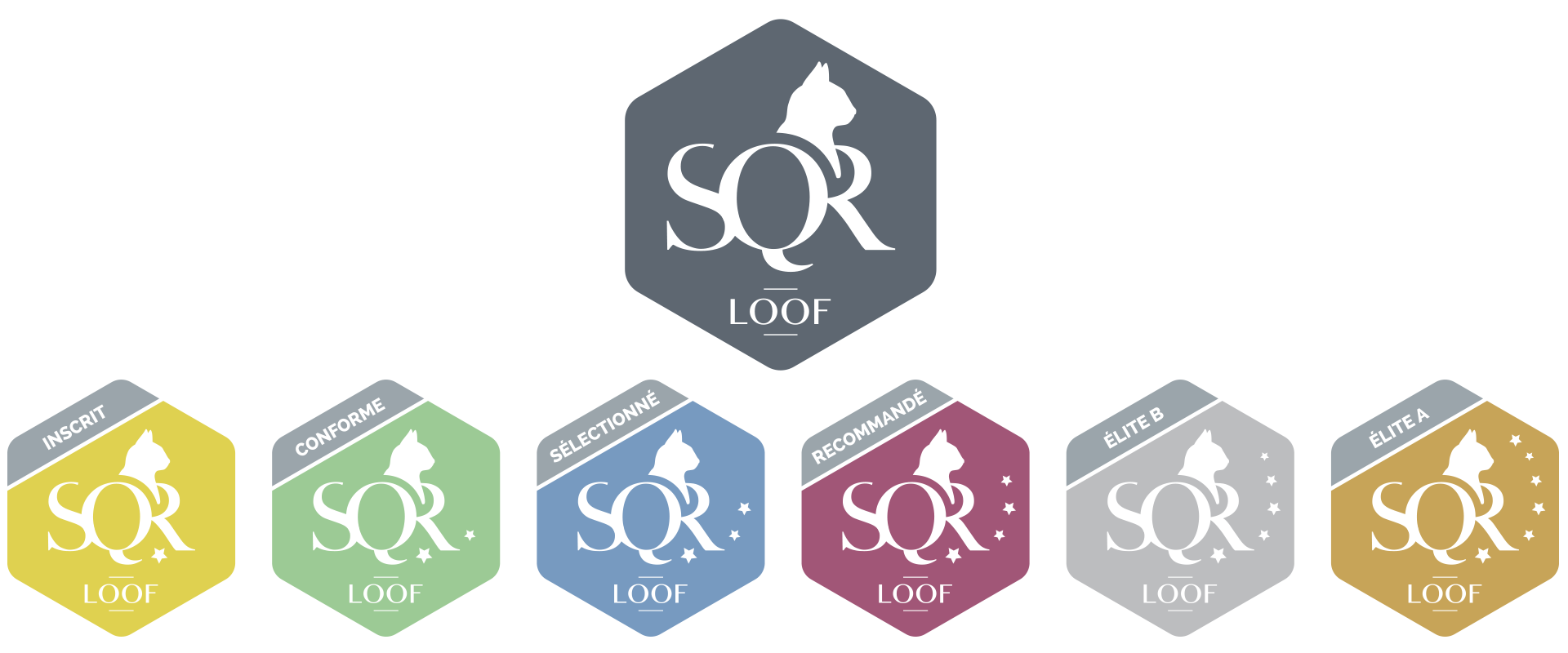 Logos SQR